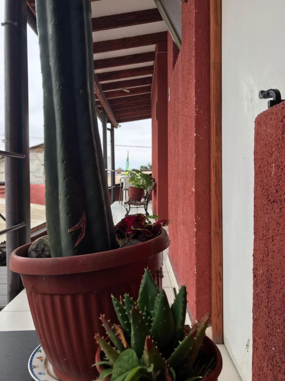 Hostal Avenue La Serena Buitenkant foto